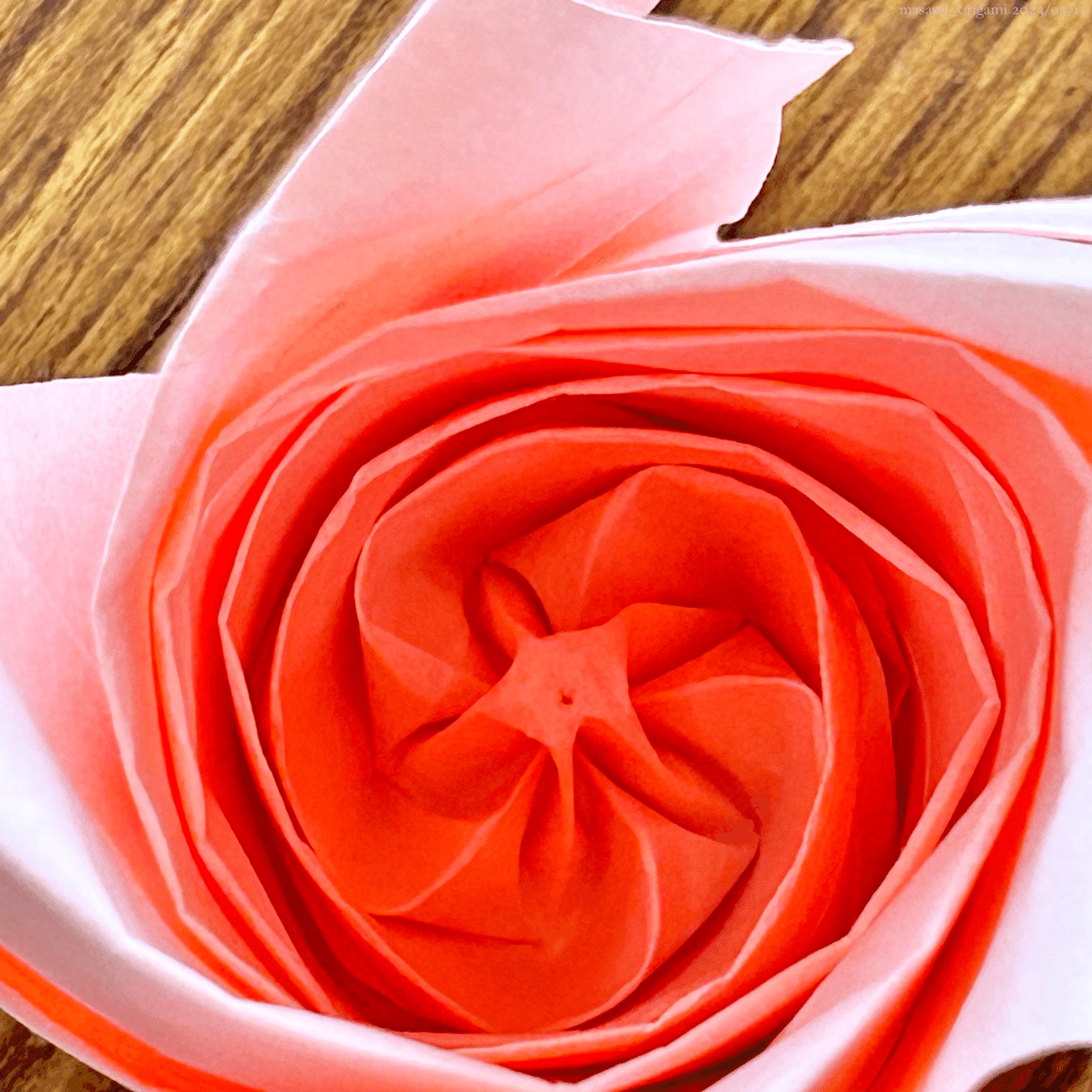 佐藤ローズ最高難度「ロゼット咲きのオールドローズ」に3年ぶりの 佐藤ローズ最高難度「ロゼット咲きのオールドローズ」に3年ぶりの