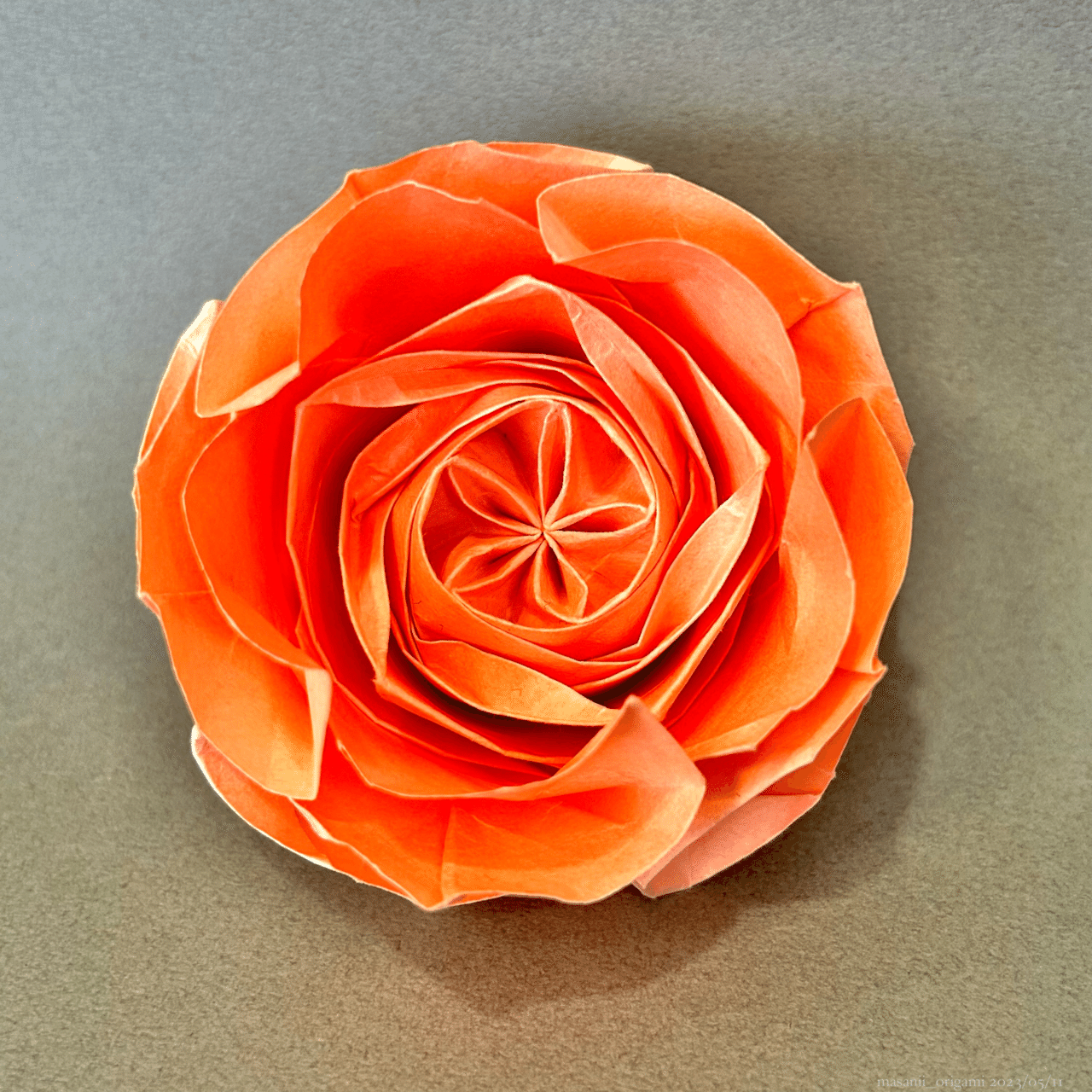 佐藤ローズ最高難度「ロゼット咲きのオールドローズ」に3年ぶりの