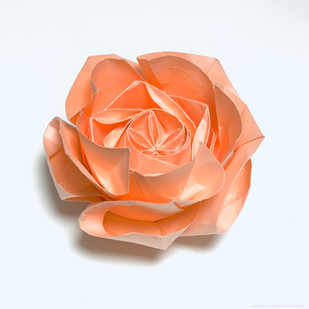 佐藤ローズ最高難度「ロゼット咲きのオールドローズ」に3年ぶりの