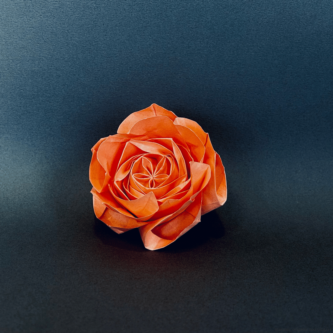 佐藤ローズ最高難度「ロゼット咲きのオールドローズ」に3年ぶりの 佐藤ローズ最高難度「ロゼット咲きのオールドローズ」に3年ぶりの