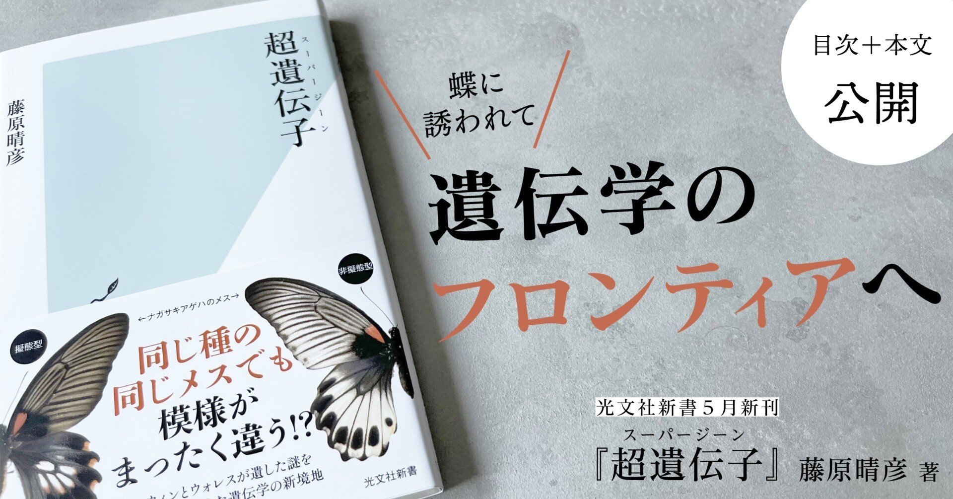 同じメスでも模様が違う？ 遺伝学への新境地へとつながる虫好きの素朴