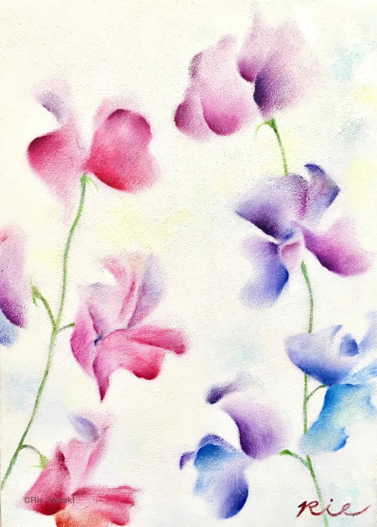 人をお花に見立てて、【自花像】を描いています｜Rie Tanaki