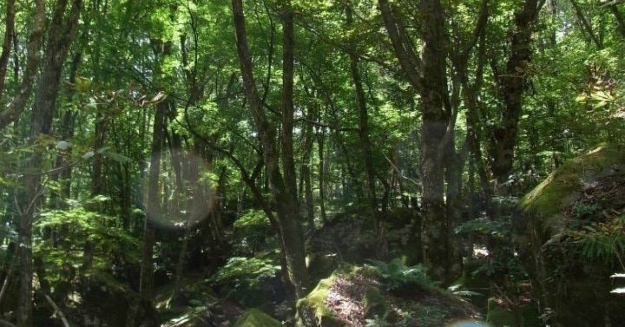 そういや樹海少年ZOO1はどうなった？って思ったら生原画売ってる
