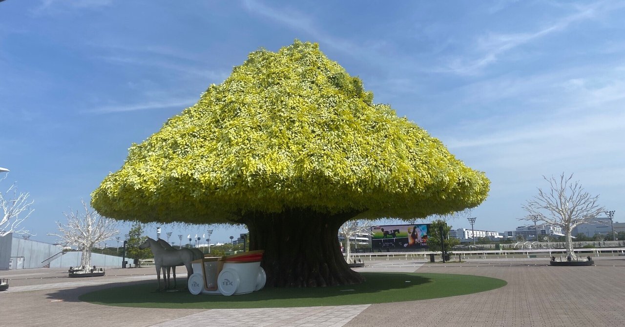 5/10羽田盃競走 11R【大井競馬場】トゥインクル