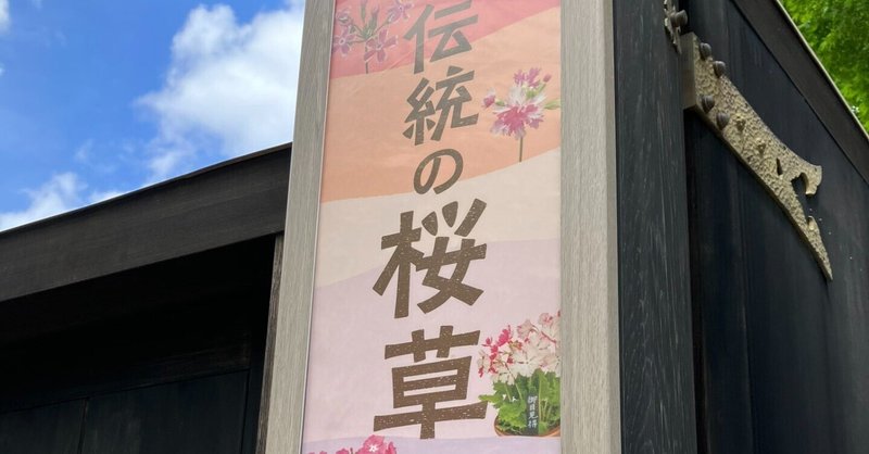 国立歴史民俗博物館くらしの植物苑の特別企画「伝統の桜草」に行きました