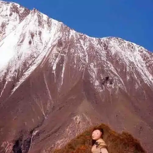 梅緒連寸