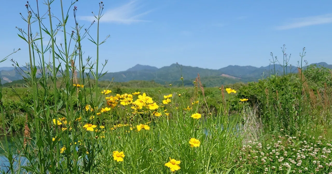 傍らの花に気づく心の余裕｜哲ちゃんの晴耕雨読