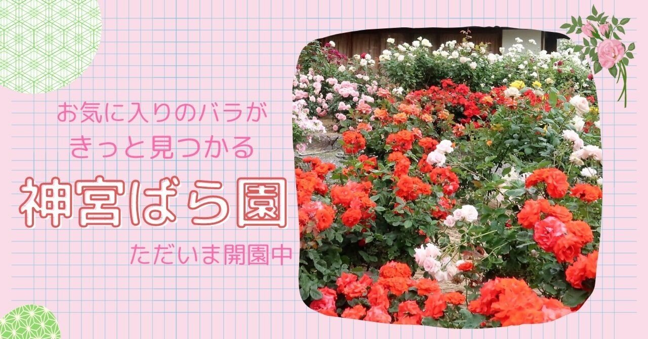 花園の迷宮 試写状20枚
