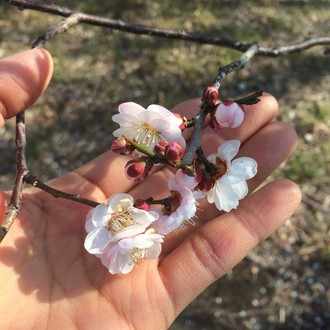 誰からも 素敵な旦那さんね と100 言われる私の戸惑い 土樹春恵 ときはるえ Note