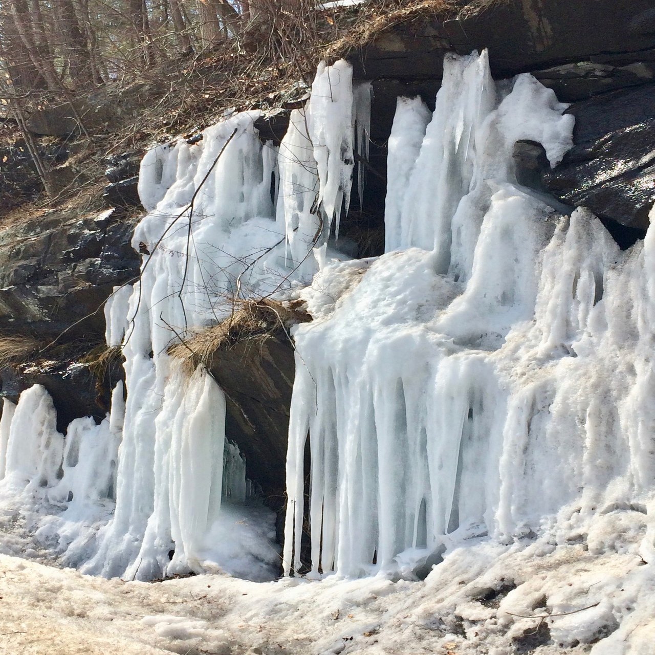 納豆オタクも唸る納豆、ここマサチューセッツにあり！｜StudioHyacinth