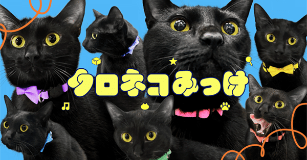 ニャンともゆる〜い情報エンタメ。クロネコみっけ｜ヤマト運輸公式note