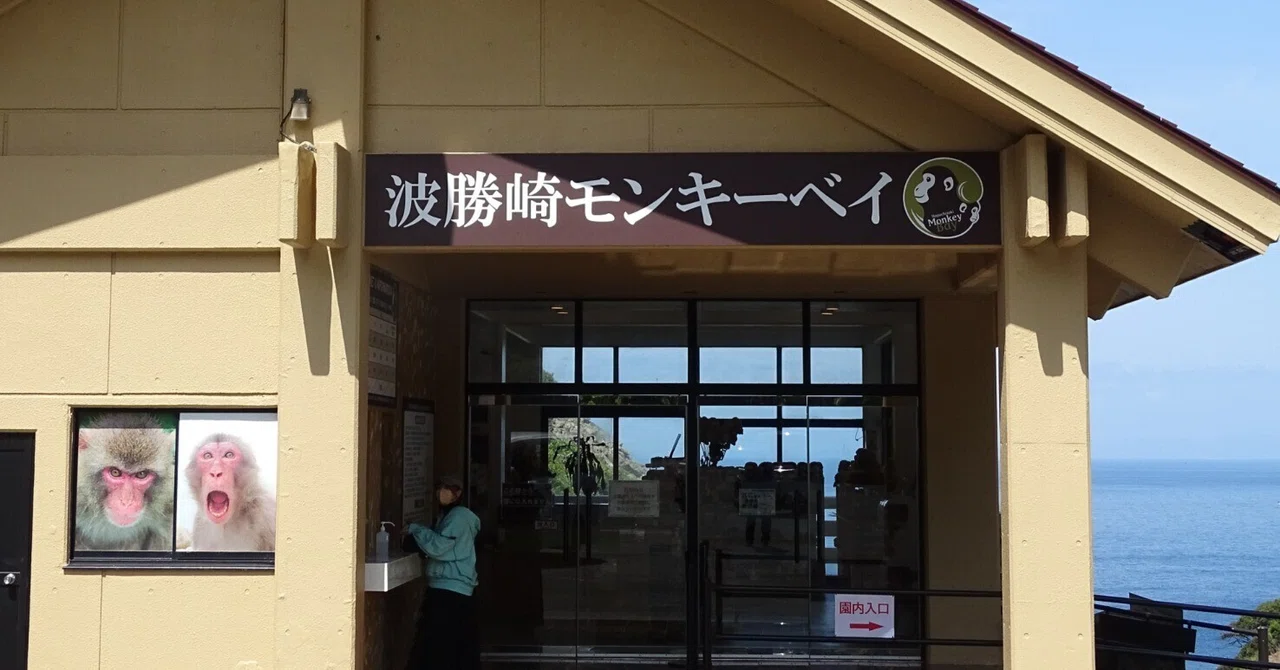 ZASO:158】静岡県 #波勝崎モンキーベイ｜ZASOちゃんねる