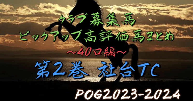 【POG2023-2024】22年度募集馬診断 ピックアップ高評価馬〜40口編②(社台TC)～