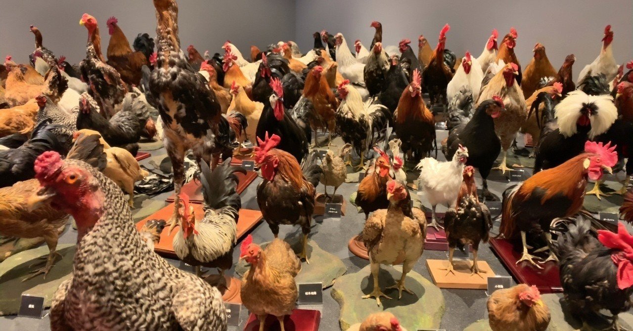 東大総合研究博物館の「家畜展」に行ってきた｜松下祐介