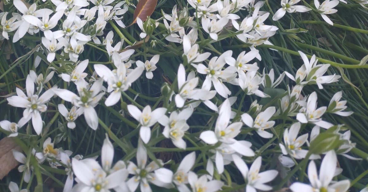 東海林直人のゴロテマ日本史◇近現18（文芸協会～吉野作造）｜s