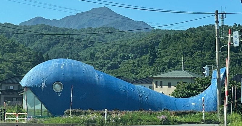 将来の夢①：故郷でカフェを開きたい