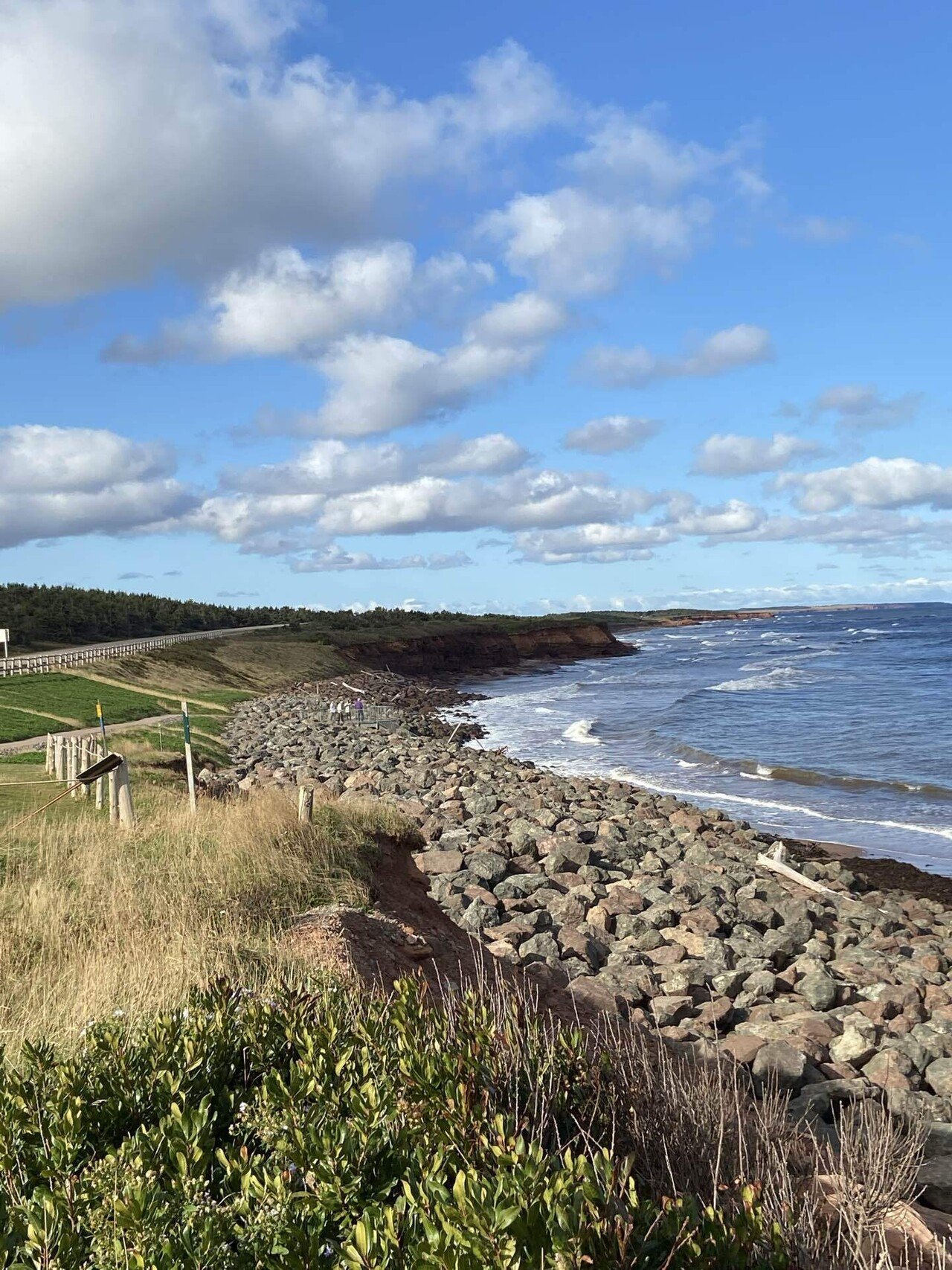 フォト日記】赤毛のアンを一行も読んだことがない私のプリンス