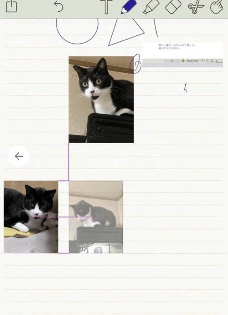  Notabilityがアプリのサブスクリプションポリシーを変更、既存ユーザーに購入した機能への生涯アクセスを約束