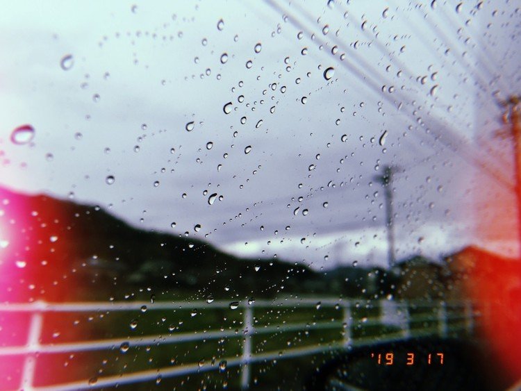 雨の日しか撮れないこの雨粒の感じ。好きだなあ。
#写真 #日記