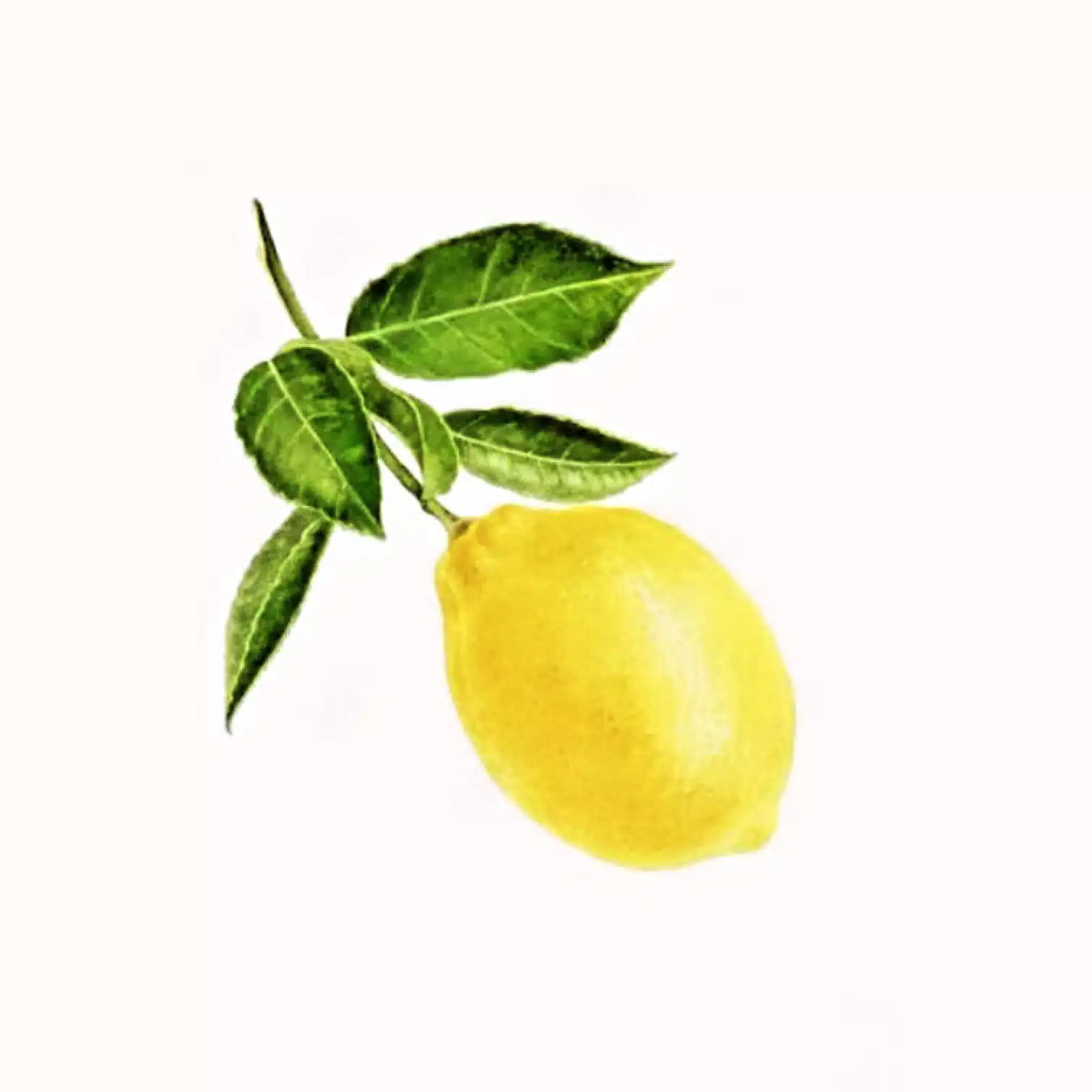 檸檬水