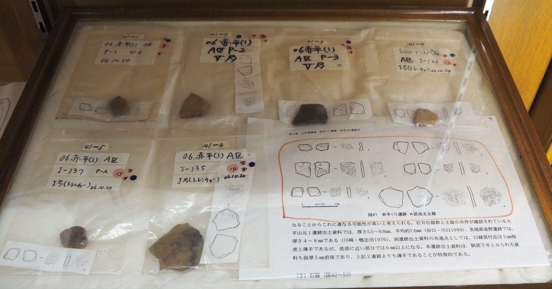 世界最古？の土器と切断蓋付土器と帆立貝の墓ー東北町歴史民俗資料館