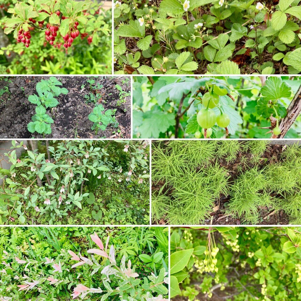 薪積み」の先のオレンジ色の