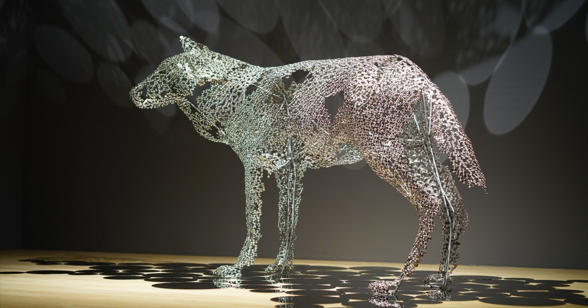 展覧会レポ：POLA MUSEUM ANNEX「西島雄志