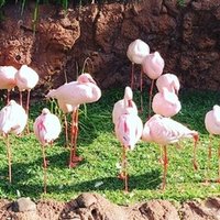 29歳変動説 ニンパイ シノブ Note