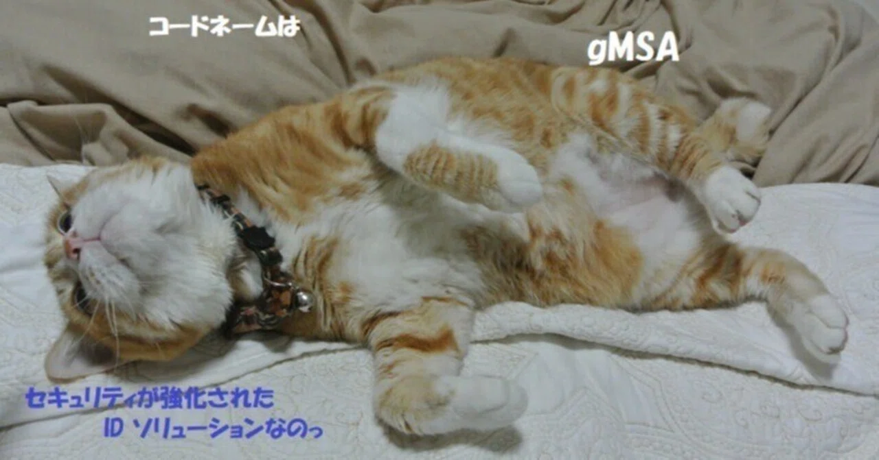 Codename is gMSA｜しょーくん