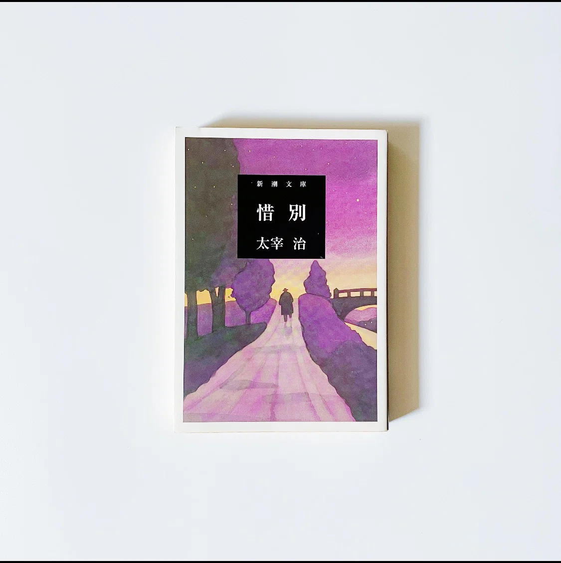 10 太宰治全部読む ｜大戦が生み落とした名文｜むささび｜インテリア
