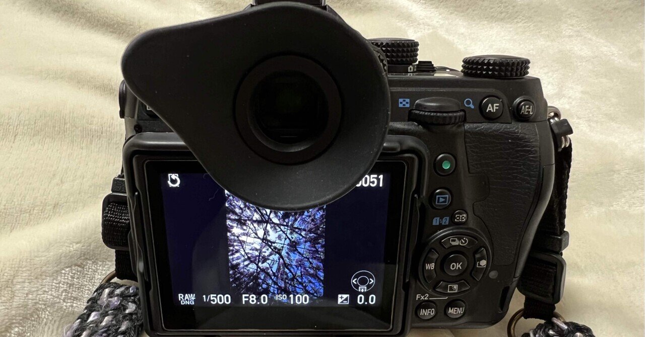 決定❗️ファインダーの丸窓化と写真と私｜Aki Yamaki