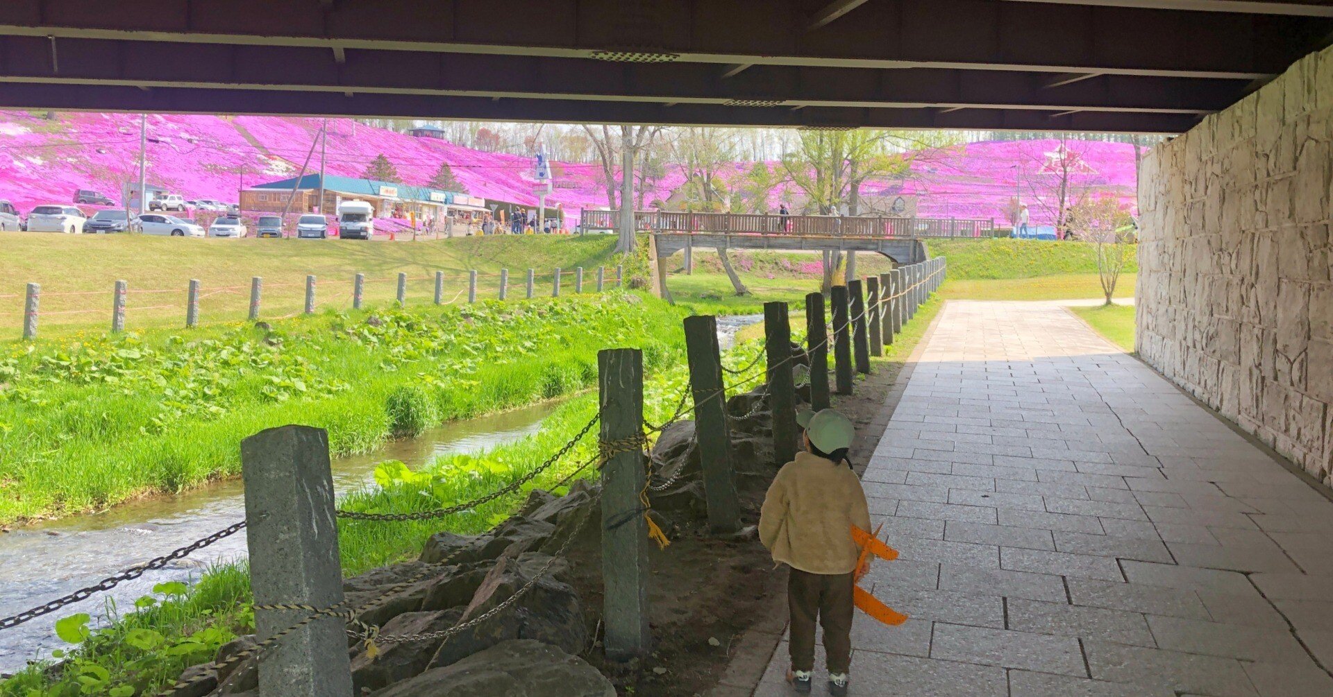 5月中旬の北海道で1番ピンクの場所｜吉田拓実｜さいこうファーム