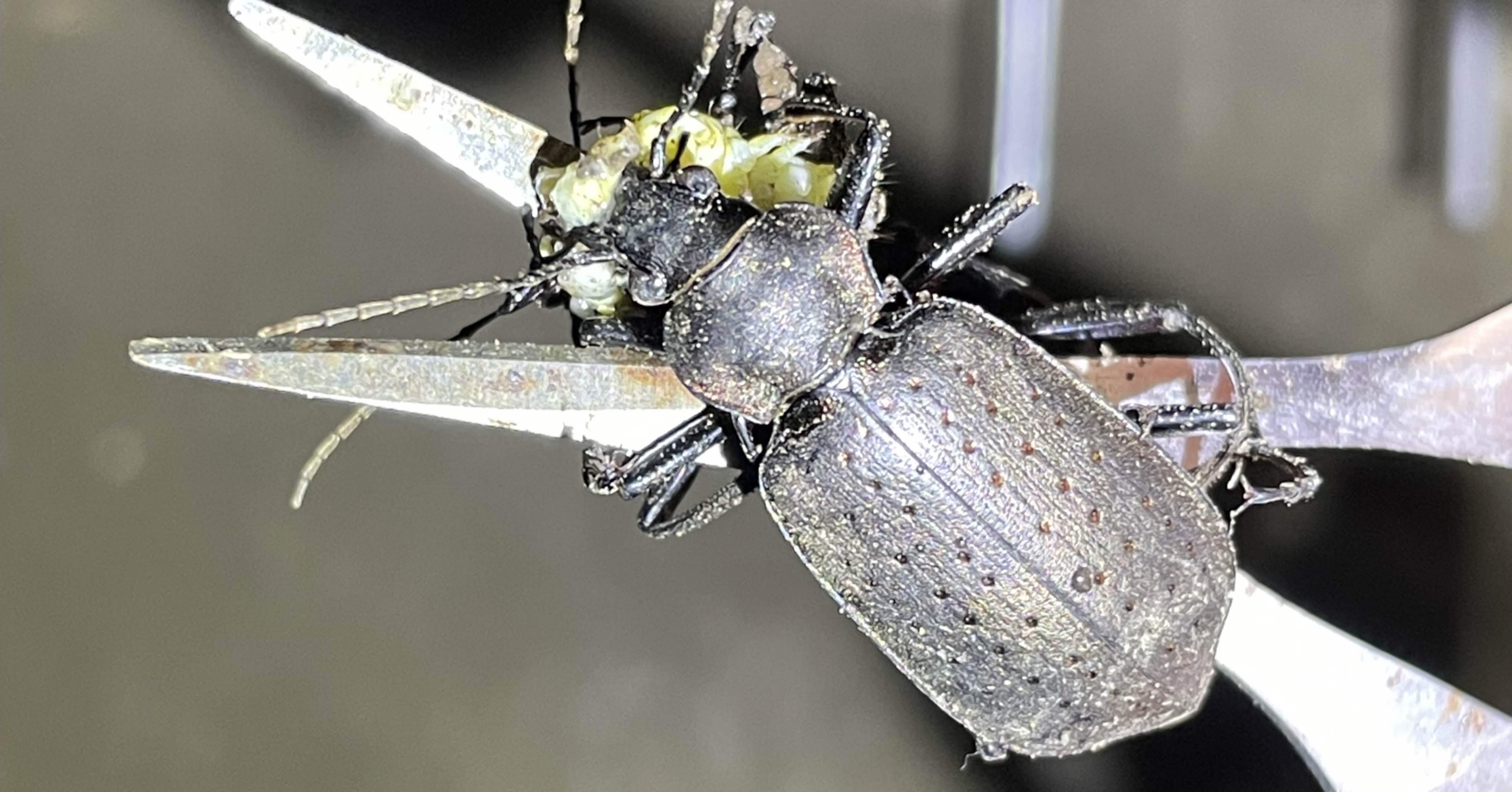 cd33be22db9e403a4f6f1a5ed947fe