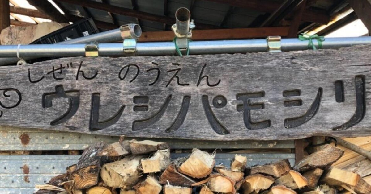 特別セーフ パーマカルチャー”で持続可能な農業を目指す—自然農園 生活、料理誌