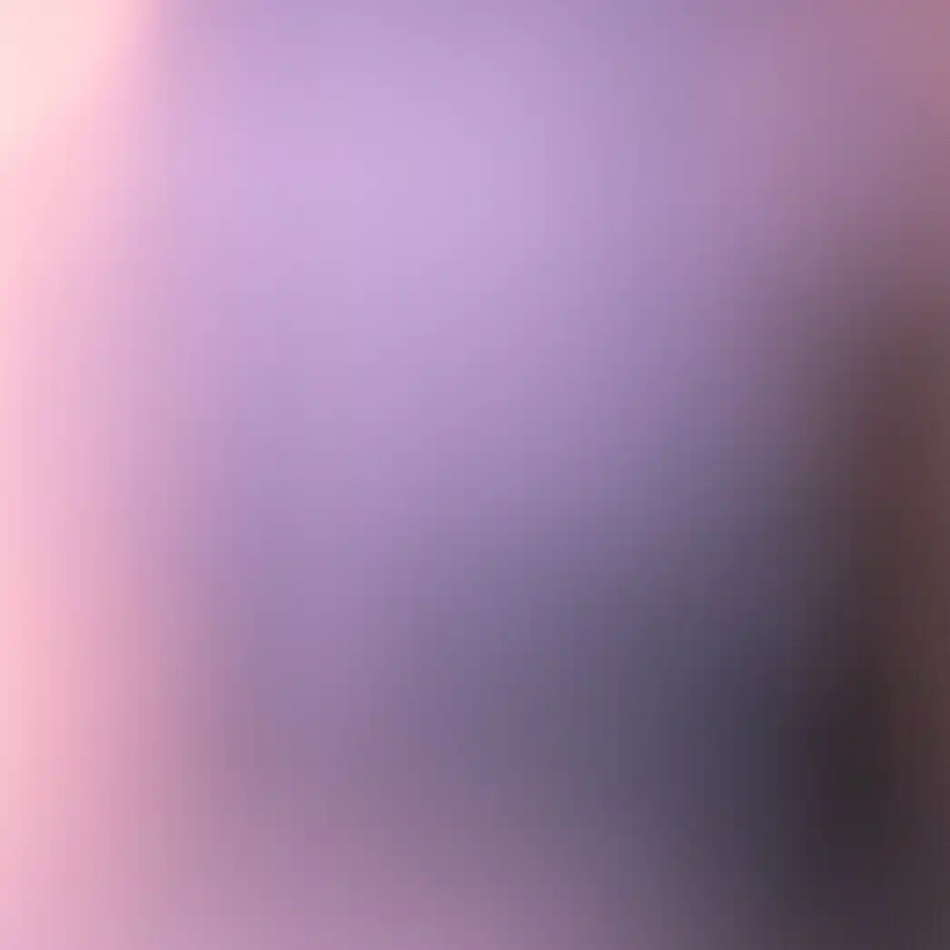襟子