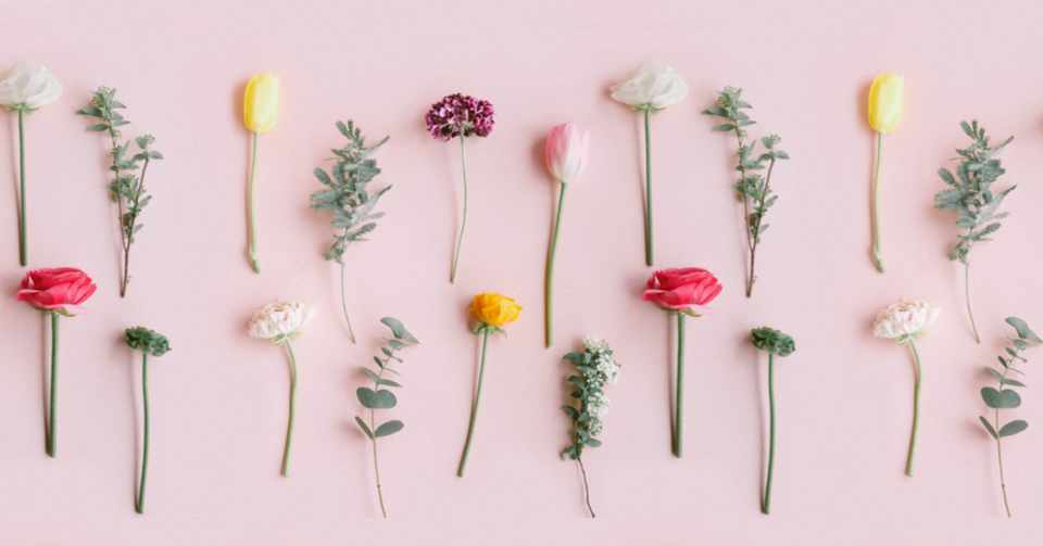 Flowerの改善ノート 19年3月 Flower Note