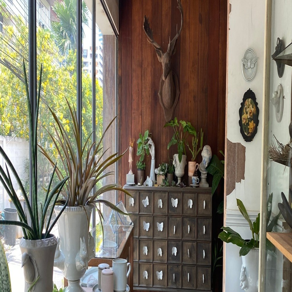 生物たちが生き生きと過ごしていたバンコクのセラミックブランド