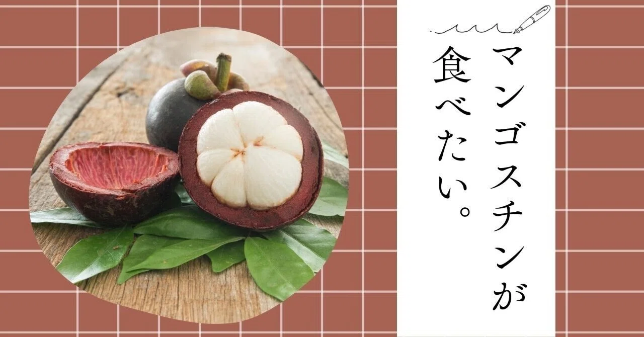 マンゴスチンの解説 旬の果物通販なら