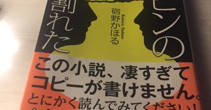 ルビンの壺が割れた 読了 Hal Tonny Note