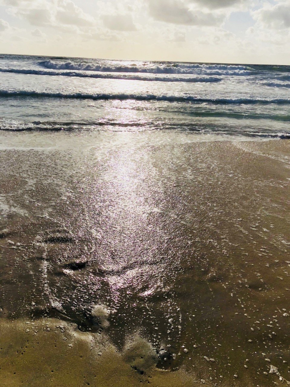 ワンピース から学ぶ 家族愛 の大切さ 唐澤俊和 軟水 Note