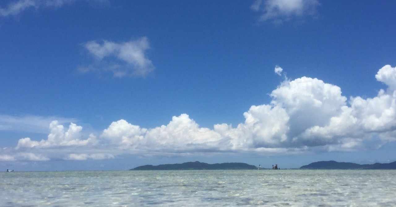 おまえもガン ソードで真の男の復讐を見届けろ 遊行剣禅 Note