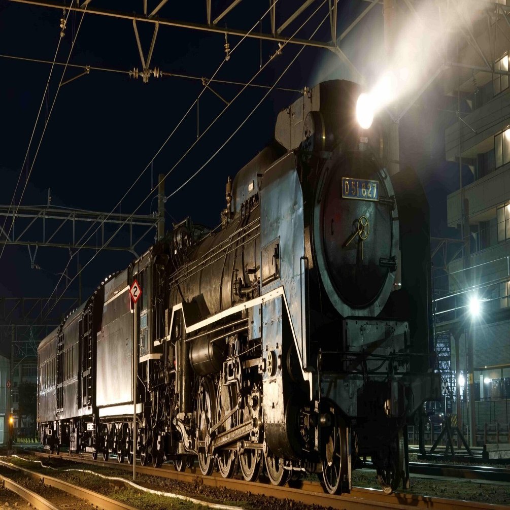 パープソラム　ブツブツ　スタッズ系　12/3撮影 パープソラム ブツブツ スタッズ系 12/3撮影 パープソラム ブツブツ