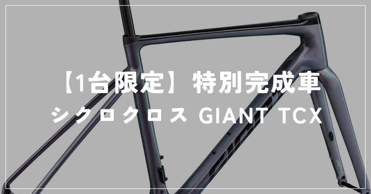 Giant TCX0 シクロクロス　フレームセット 1台限定】特別完成車・GIANT 2023 TCX ADVANCED PRO FRAME SET｜BIKE