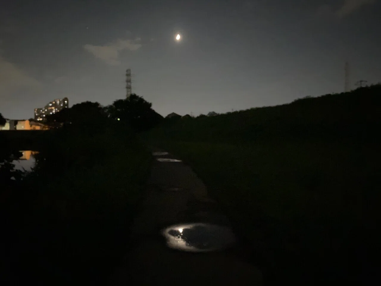 静寂な夜の景色 風の静かな音 植物や虫の気配 川に映る夜の光 穏やかな夜の散歩|ki ka