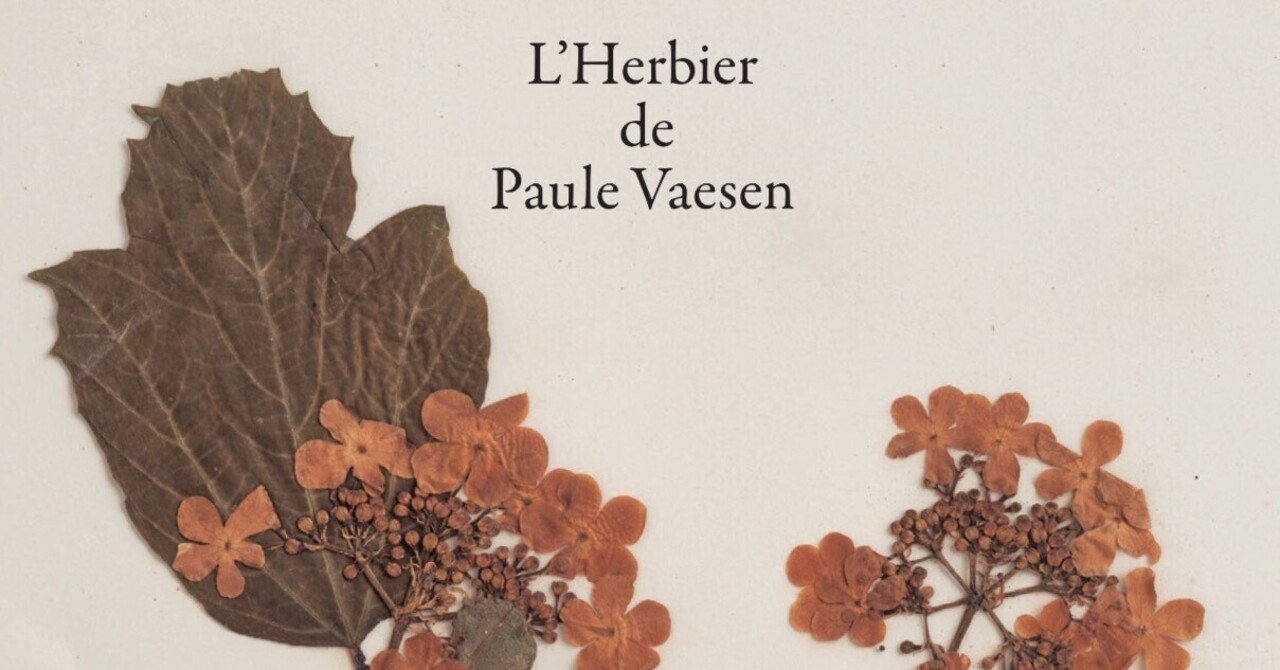 5月23日-31日 | 『ポール・ヴァーゼンの植物標本』展｜恵文社 | 本