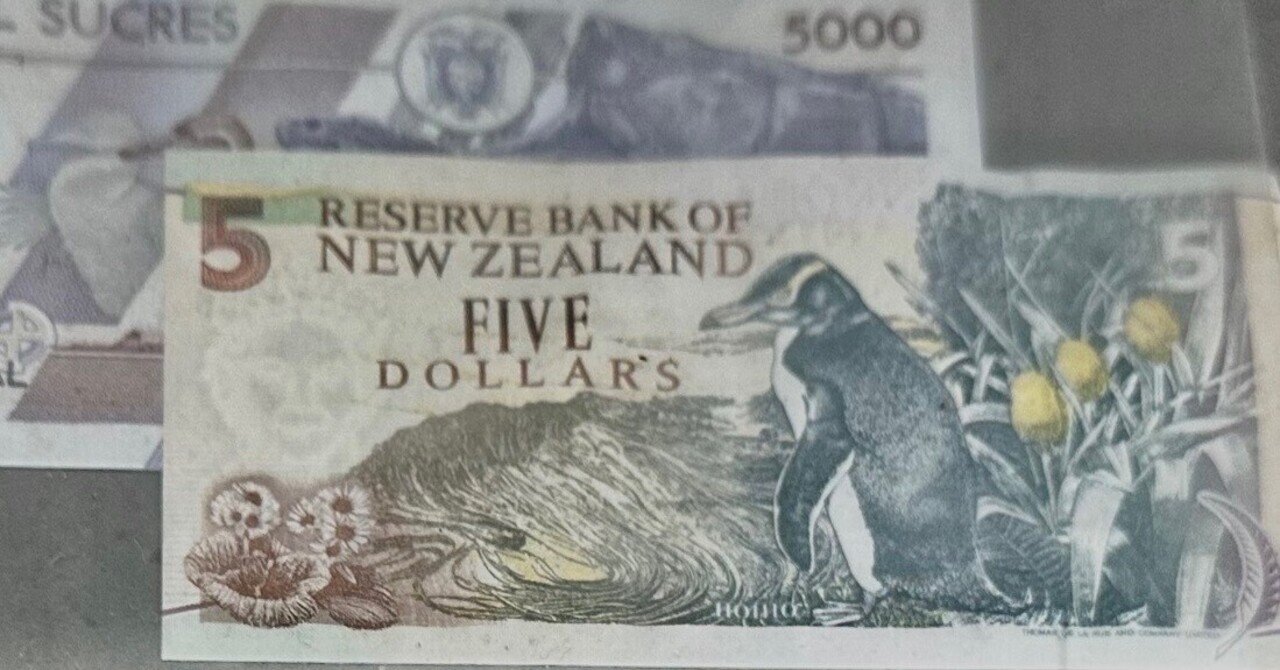 お札になったペンギン｜24park