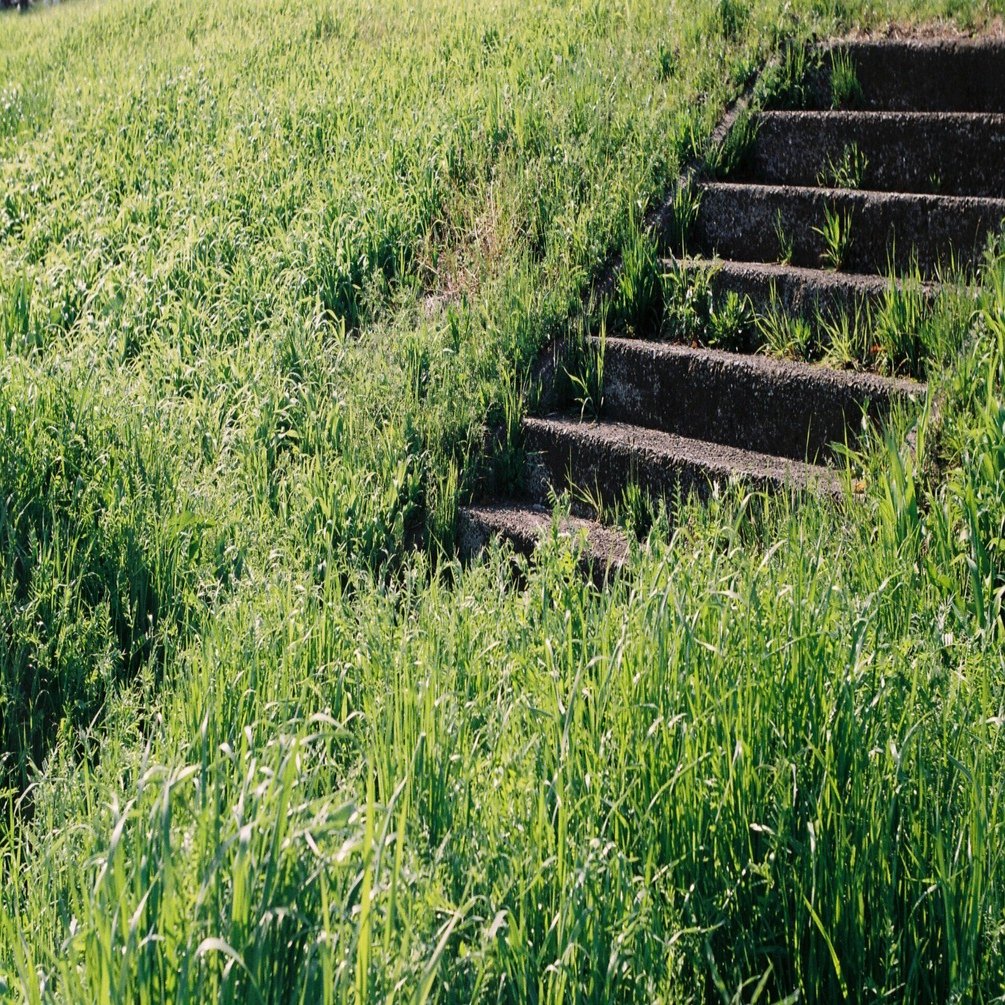 バルナックライカiiifとエルマー5cm f3.5で川辺を散歩する｜両眼