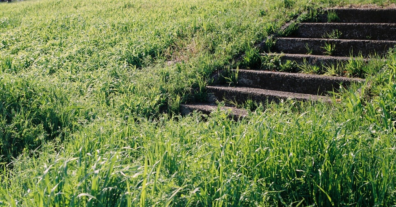 バルナックライカiiifとエルマー5cm f3.5で川辺を散歩する｜両眼