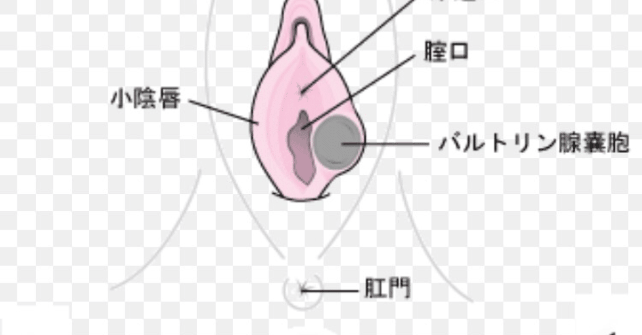 膨らんできちゃった Rの女 Note 膨らんできちゃった Rの女 Note