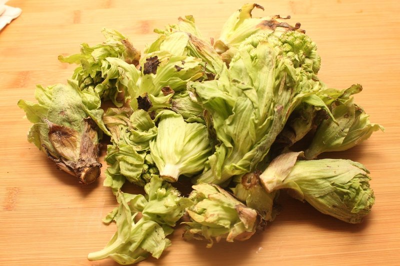 ふきのとう味噌の作り方 樋口直哉 Travelingfoodlab Note ふきのとう味噌の作り方 樋口直哉 Travelingfoodlab Note